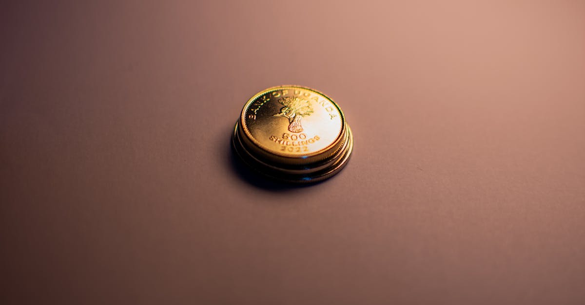 Économie décarbonée : les enjeux et opportunités pour un avenir durable