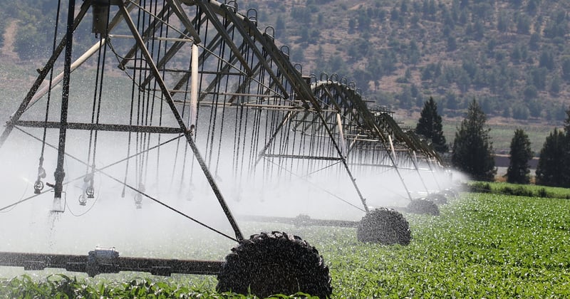 Comment adapter agriculture changement climatique : 7 solutions clés