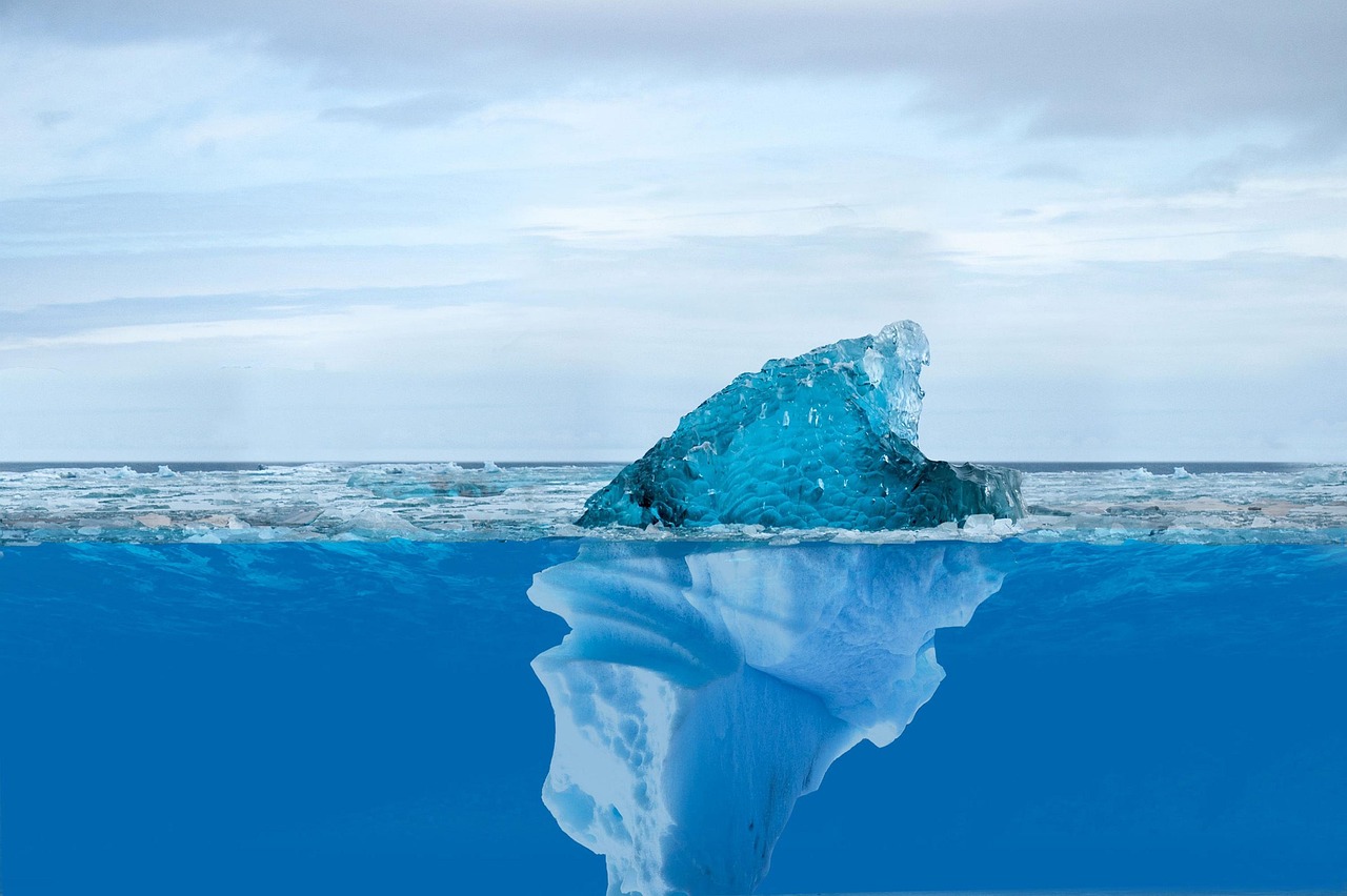 Climat et biodiversité : le lien indissociable à protéger
