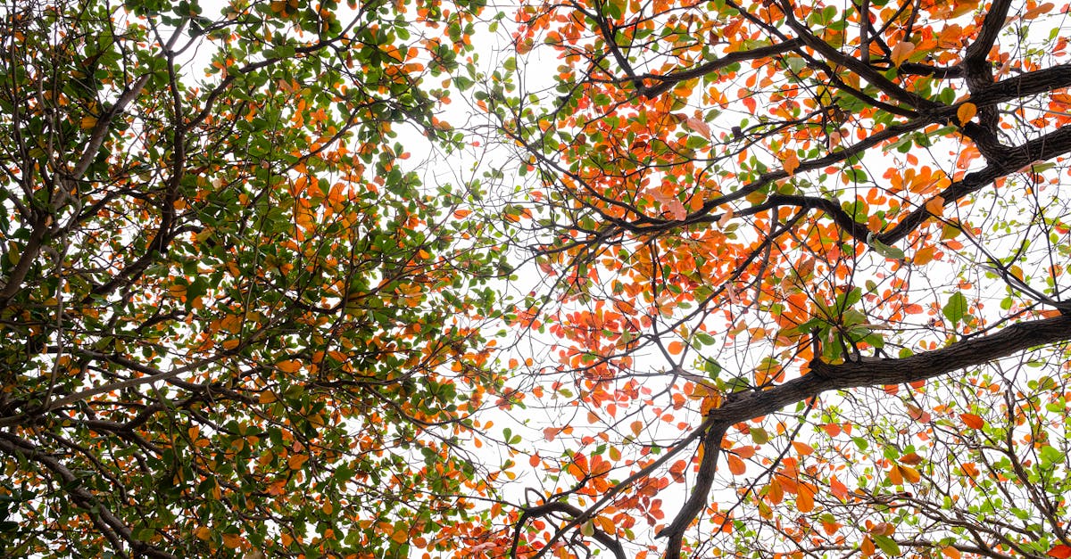 Transition écologique : Engagements concrets et actions déterminées face à l’urgence climatique et environnementale – Rapport sur le développement durable