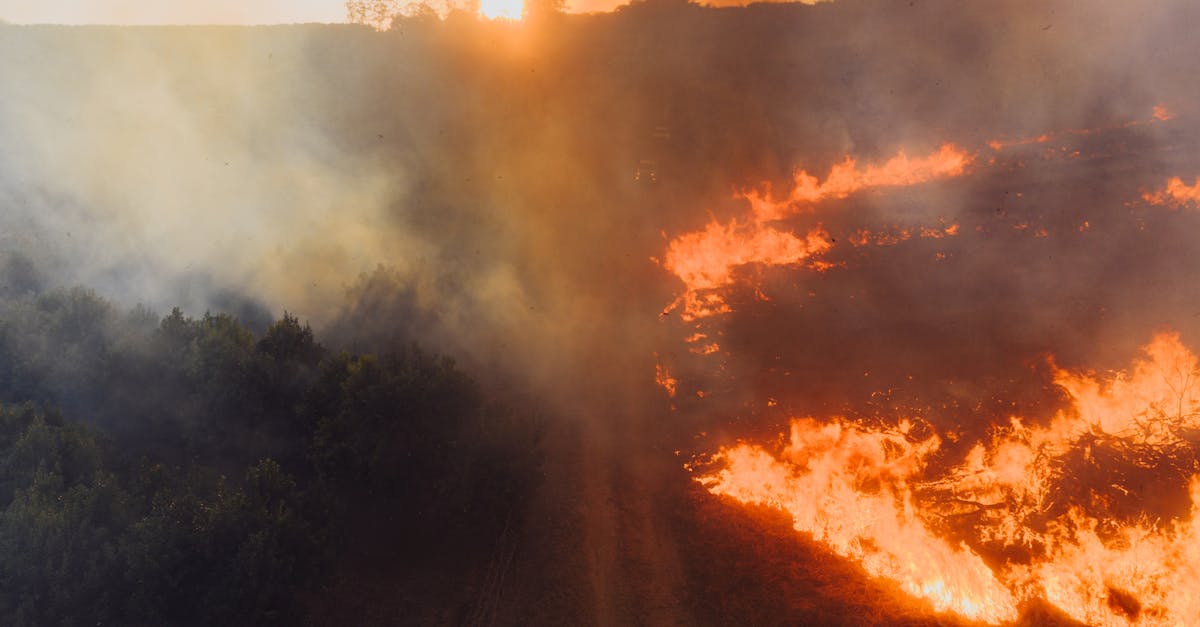 Chaleur extrême en Europe : 1500 décès attribués au changement climatique