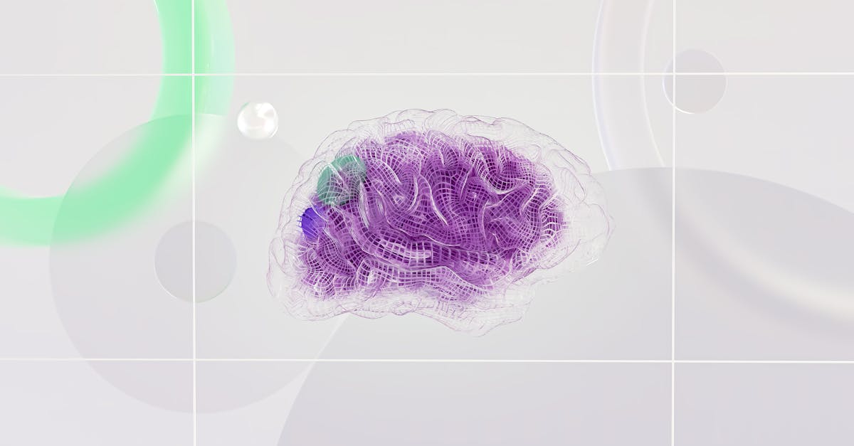 Les meilleures pratiques en matière d’innovation verte