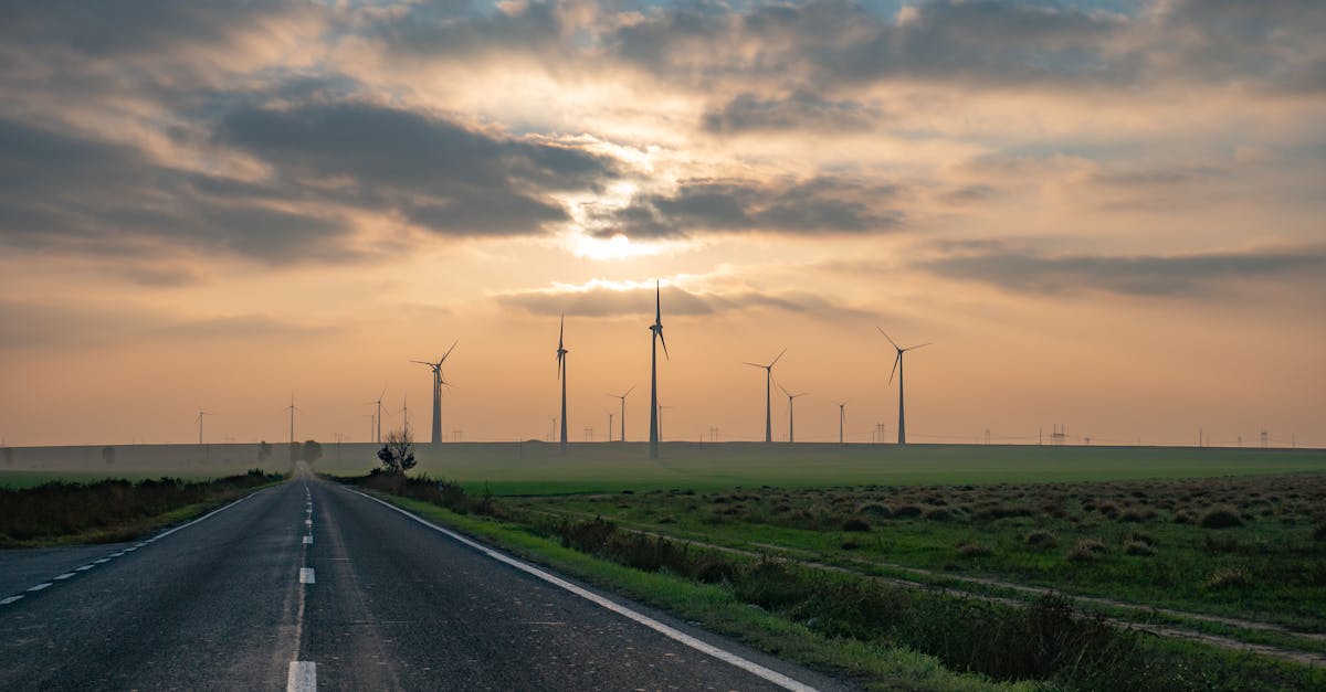 Pour un avenir durable, un changement de pensée s’impose : rapport de l’ONU sur l’environnement
