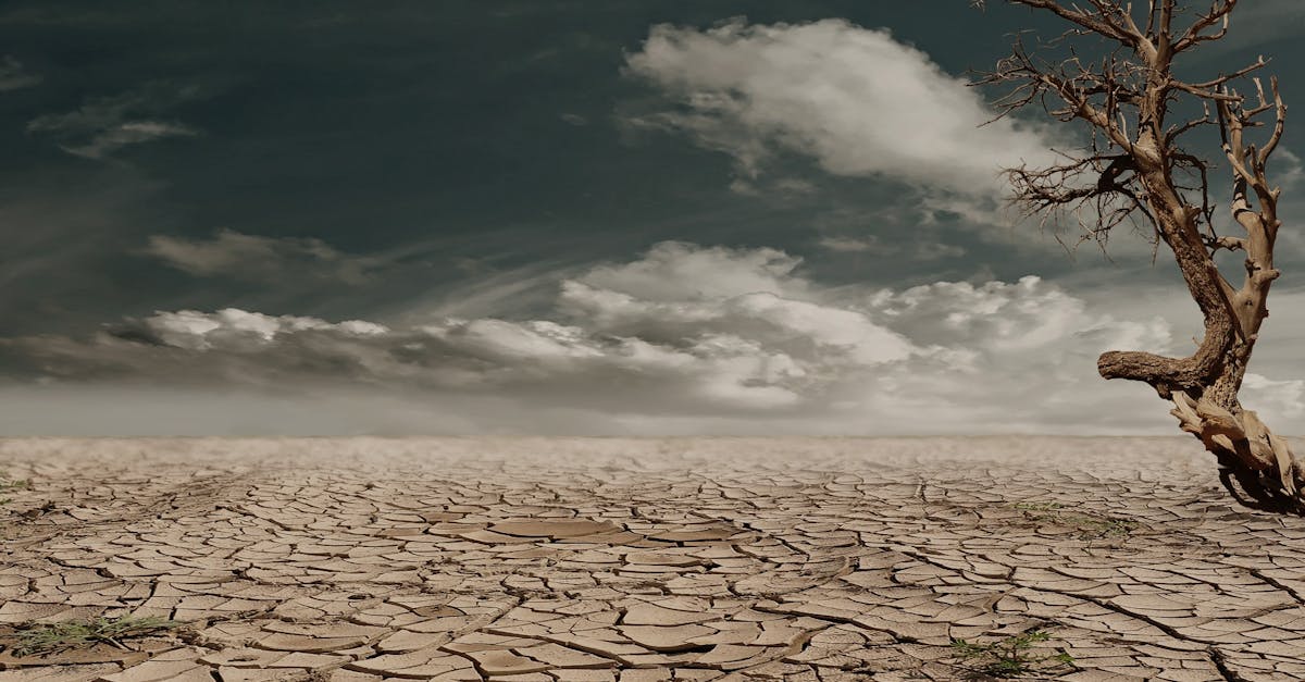 Sensibilisation climatique : comprendre les enjeux pour un avenir durable