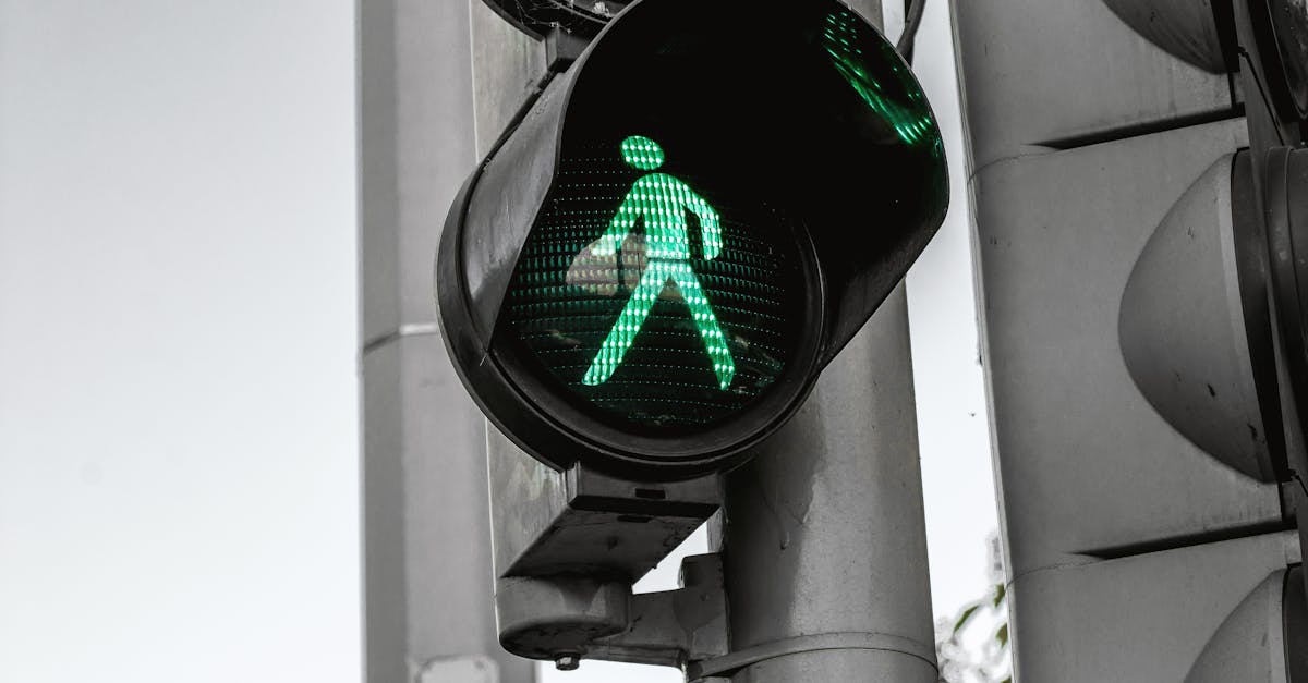 Infrastructures vertes : Vers un avenir durable pour nos villes