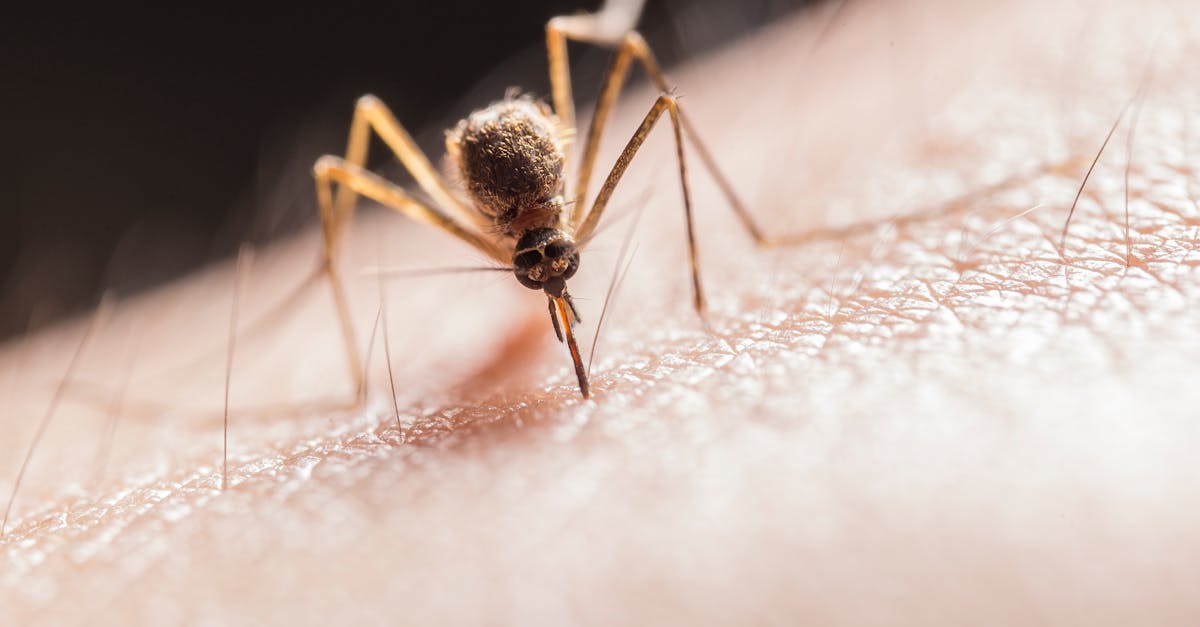 La santé environnementale : un bouclier essentiel face au recul écologique ?