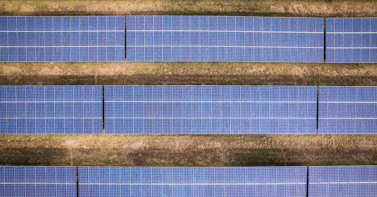 L’europe, leader mondial en matière d’innovations écologiques dans la transition énergétique