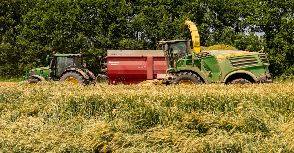 Pâturage hivernal, sorgho et méteils : trois stratégies innovantes pour ajuster la production de fourrage face au changement climatique