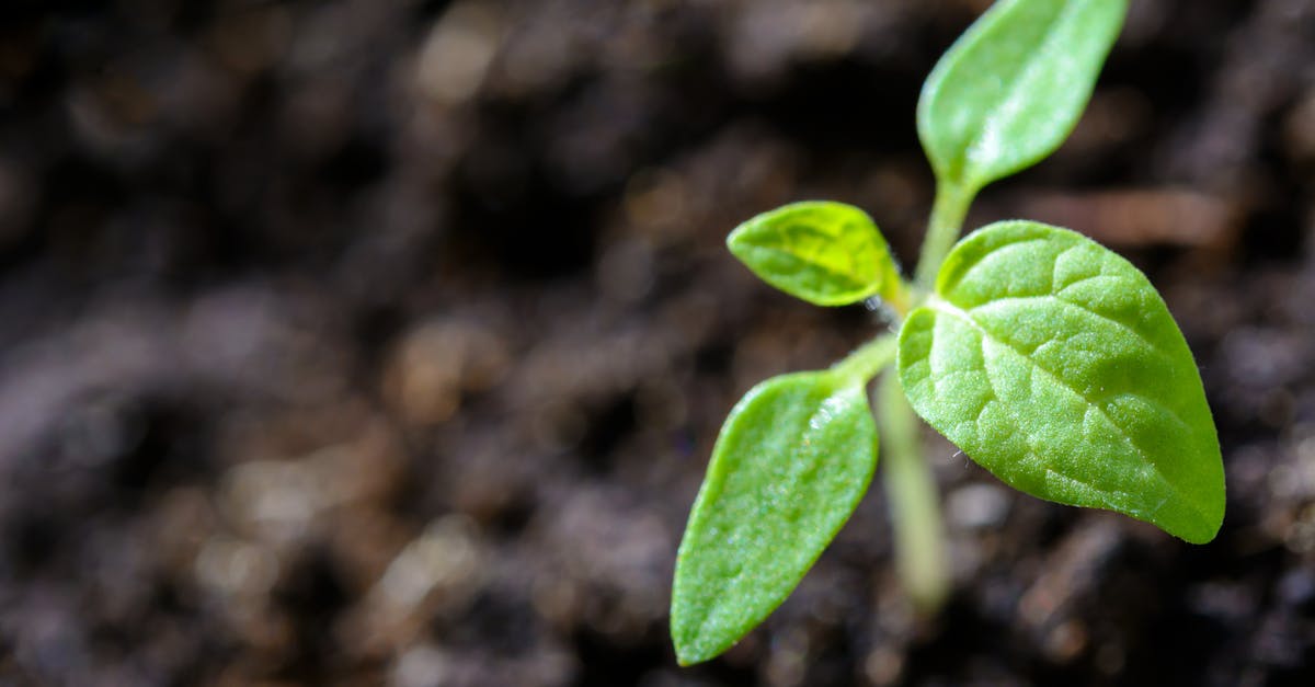 L’interconnexion entre climat, biodiversité et finance responsable