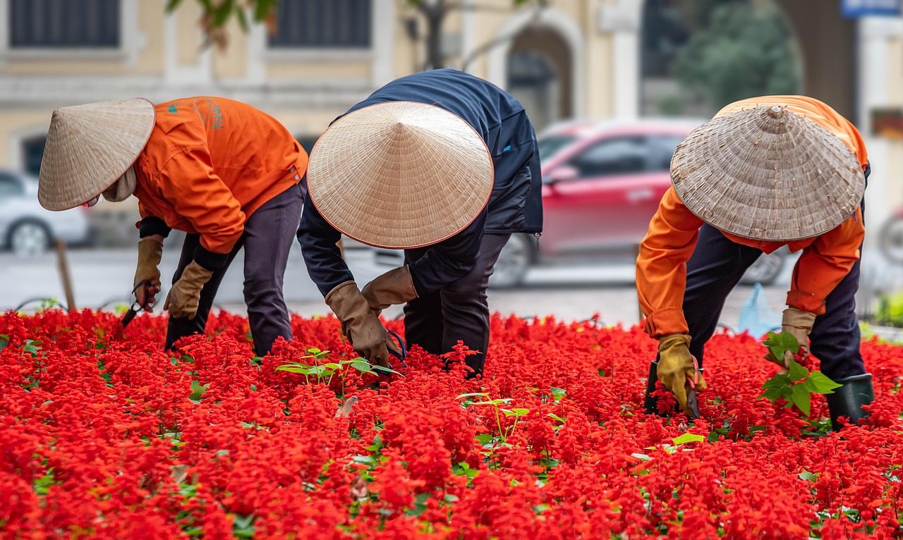 Comment le jardinage urbain contribue à la lutte contre le climat