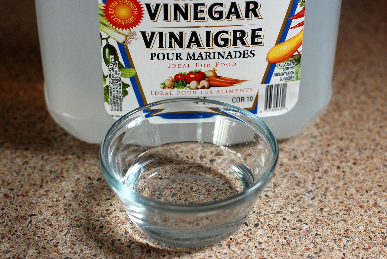 Produits ménagers écologiques : Guide pratique pour un entretien naturel de votre maison