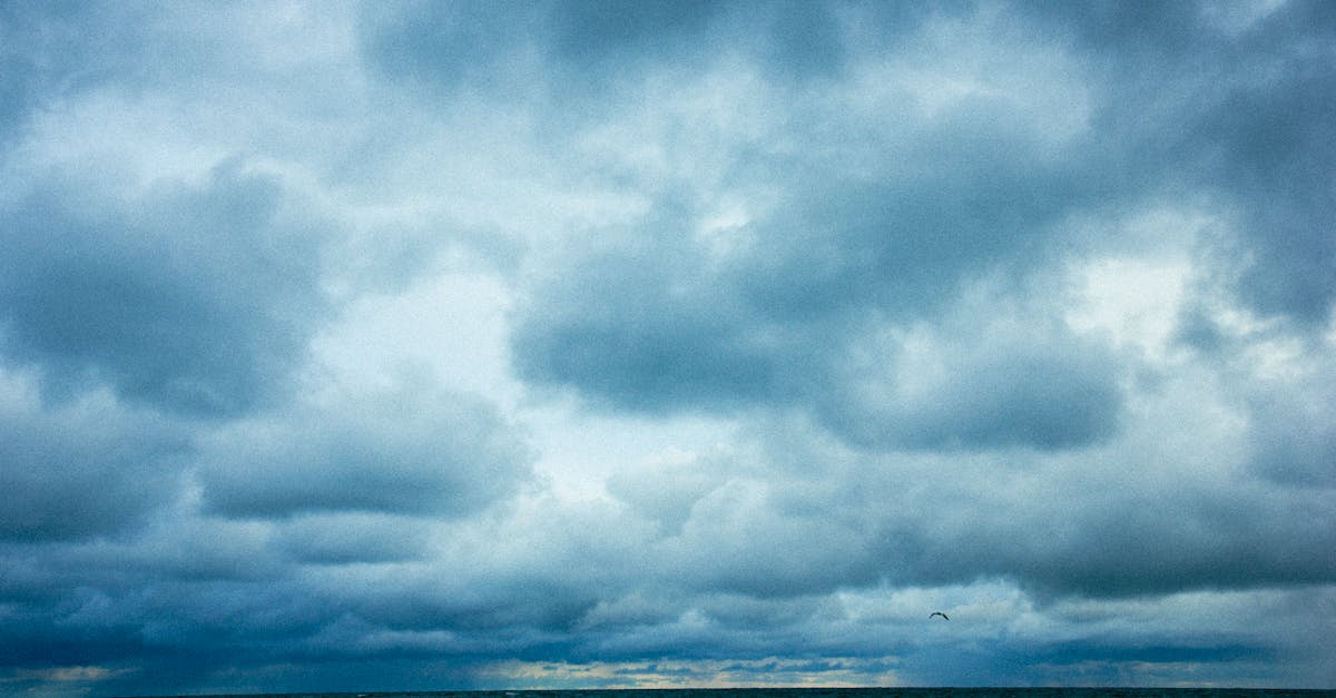 La CIJ rappelle aux États leur devoir légal de diminuer les émissions et de préserver le climat