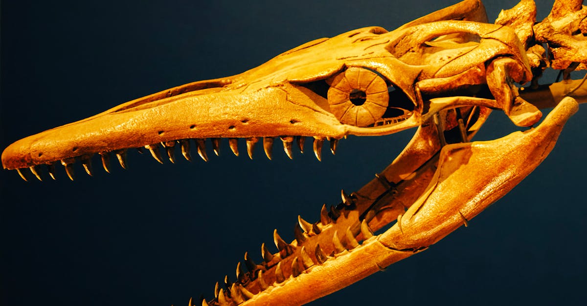 Pourquoi certaines espèces animales risquent-elles de disparaître ? Les limites de l’adaptation face aux menaces actuelles