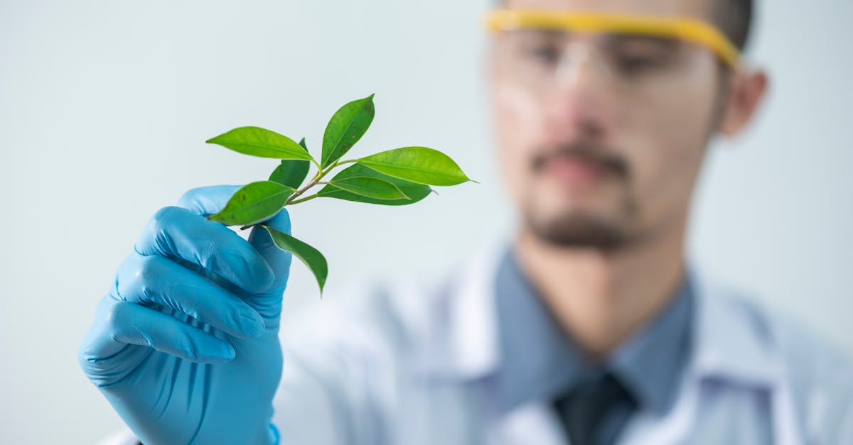 Les secteurs en mutation grâce aux innovations vertes