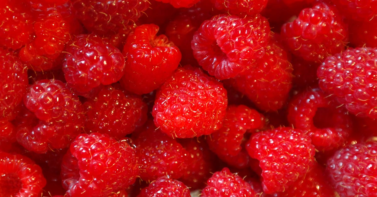 Alimentation durable : 10 astuces pour adopter un mode de vie éco-responsable