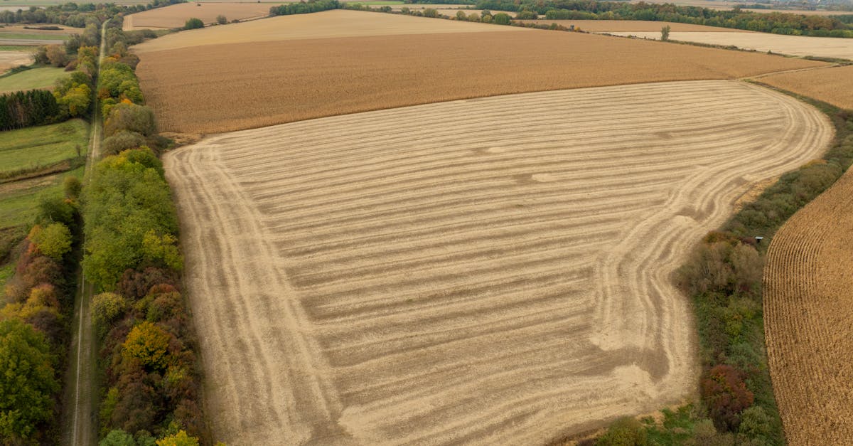 Politiques environnementales : la majorité des Français soutiennent la lutte contre l’artificialisation, l’usage des pesticides et favorisent la rénovation écologique