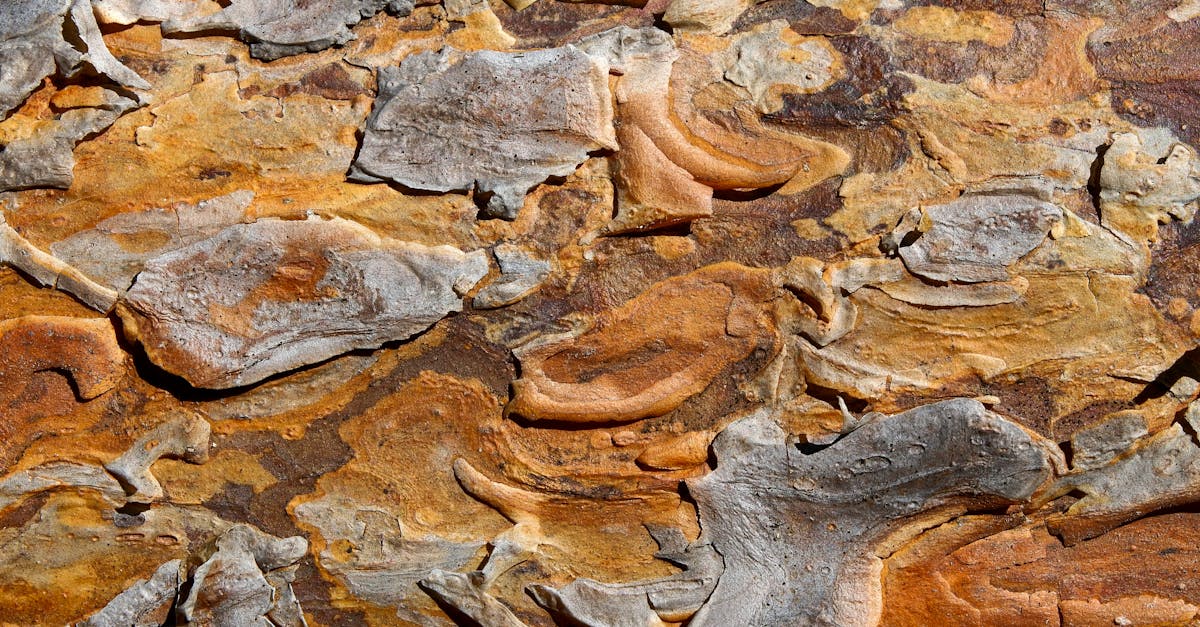 L’influence majeure des mouvements de la croûte terrestre sur le changement climatique révélée