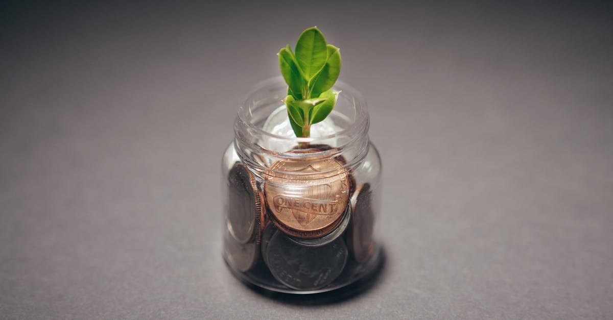Finance durable : entre recul critique et prise de conscience pragmatique