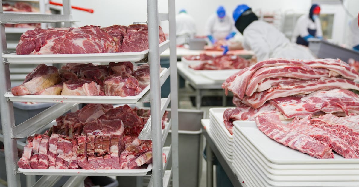 Comment les lobbies de la viande influencent discrètement les débats sur le climat