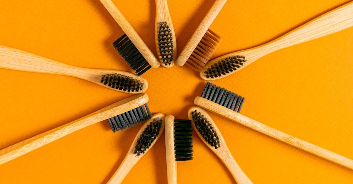 Produits durables : comment choisir ceux qui respectent l’environnement