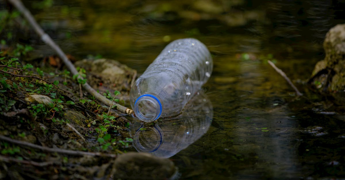 Sensibilisation environnementale : Comprendre les enjeux pour agir efficacement