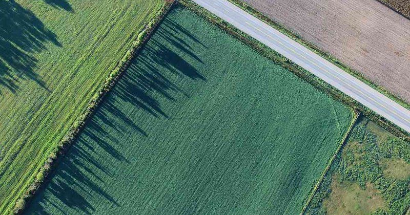Artificialisation des sols : quelles donnees font foi ?
