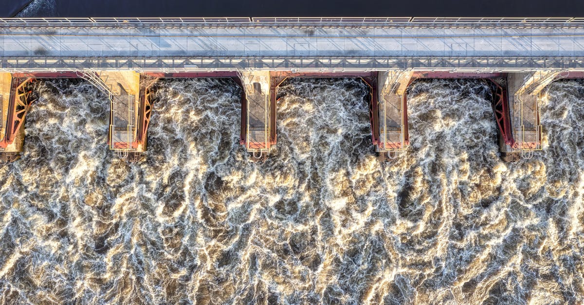 Gestion environnementale : Stratégies efficaces pour un avenir durable