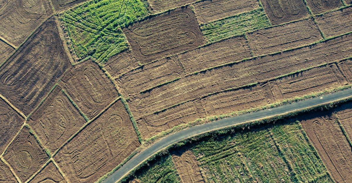 Quelles politiques pour une agriculture résistante aux changements climatiques ?