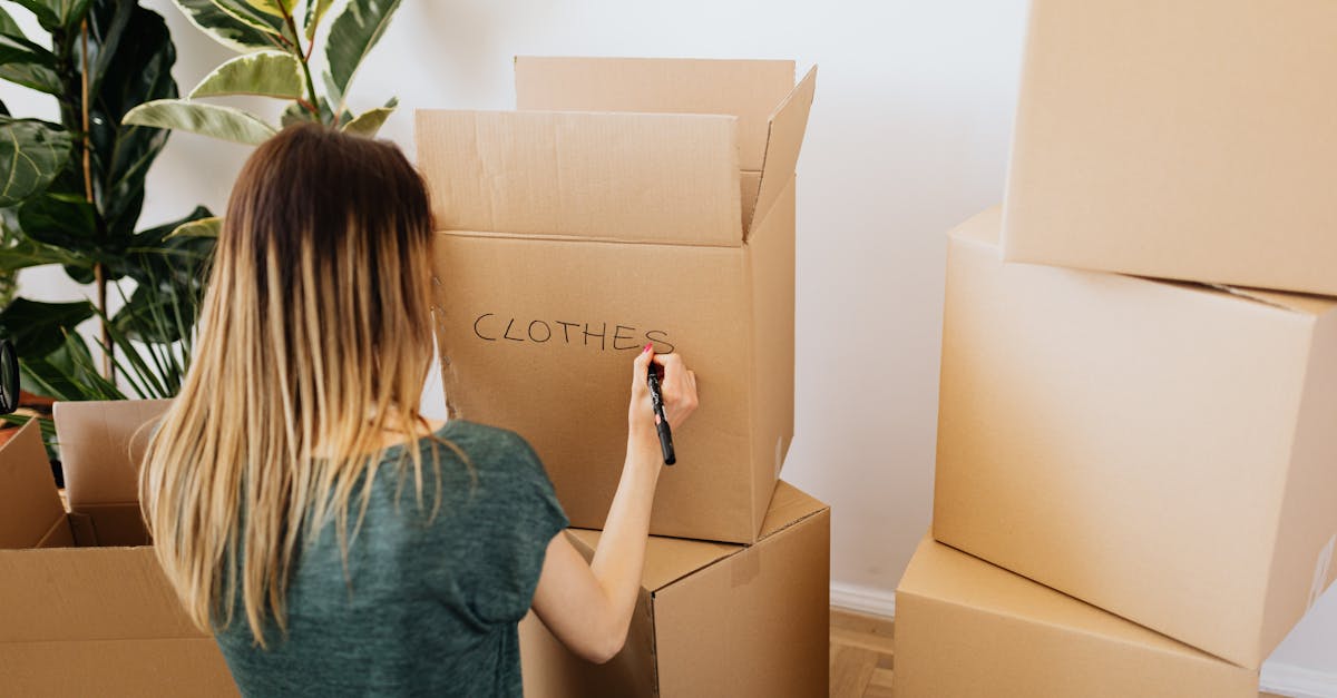 Investissement écologique : comment financer un avenir durable
