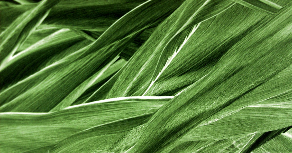 Les politiques environnementales au service de la biodiversité
