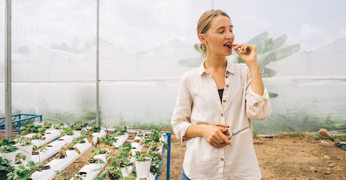L’AgriTech : Des avancées technologiques au profit des agriculteurs pour une transition écologique et climatique réussie