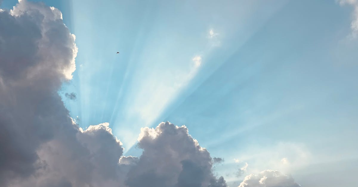 Le déni du changement climatique : des décennies d’inaction par choix