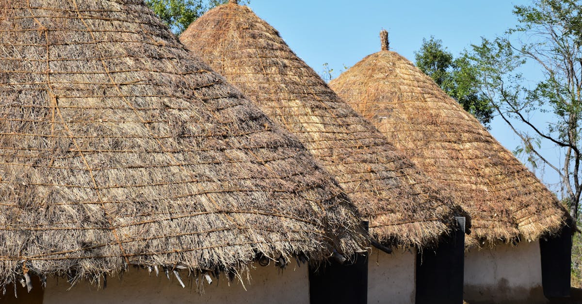 Les solutions innovantes pour un habitat durable