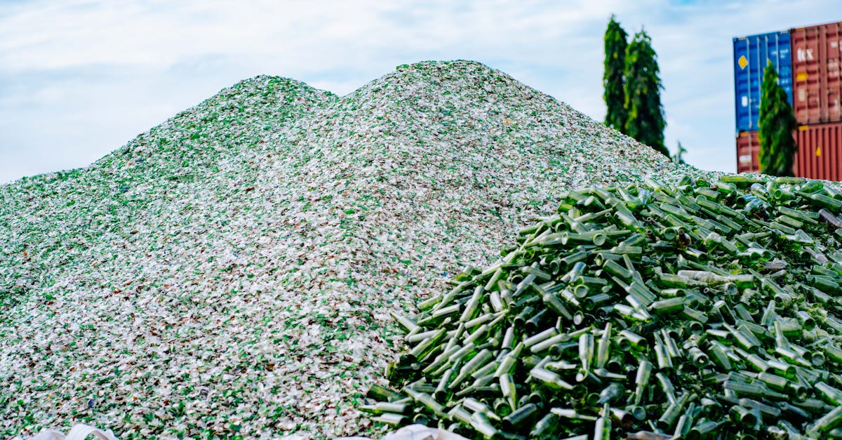 Le jour où j’ai découvert la vérité sur le recyclage du verre : pourquoi j’ai cessé de mettre mes bouteilles dans le bac de tri