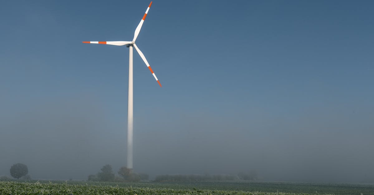 Les politiques publiques pour lutter contre le changement climatique