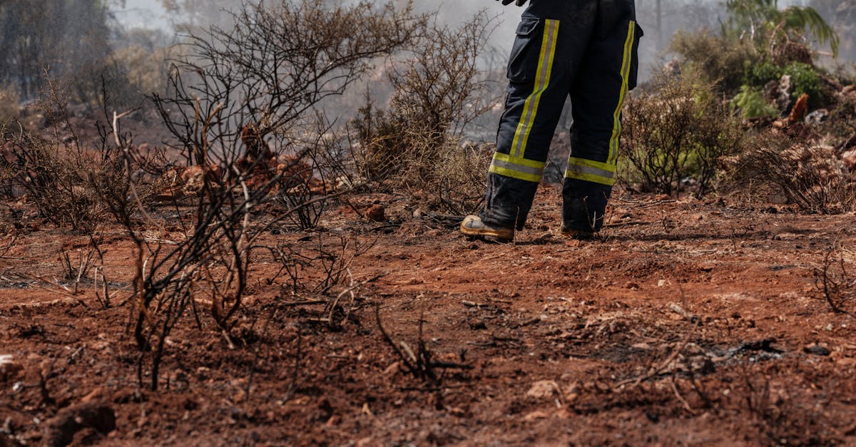 Cinq héros du climat honorés par l’ONU, dont une militante nigérienne engagée