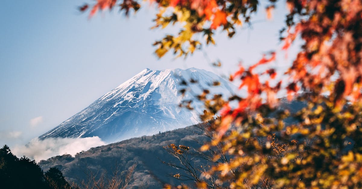 Le Japon mis en cause pour son absence d’action contre le changement climatique