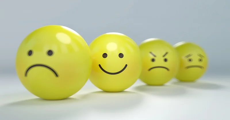 Éco-anxiété et solastalgie : deux mots pour deux réalités différentes