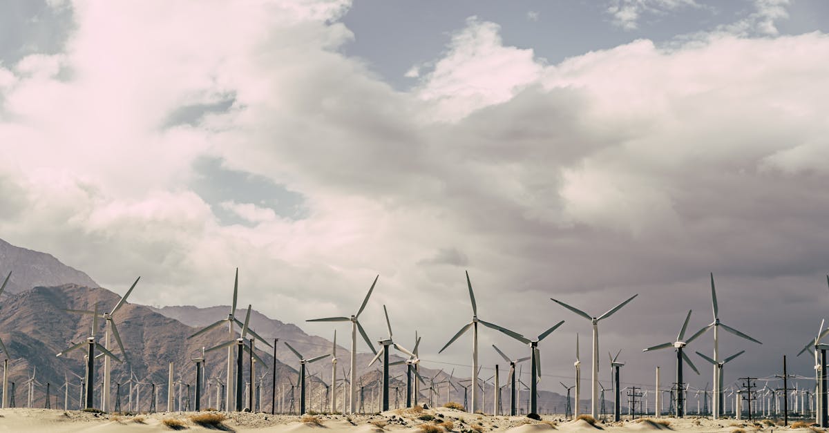 La transition énergétique : un enjeu clé pour les gouvernements