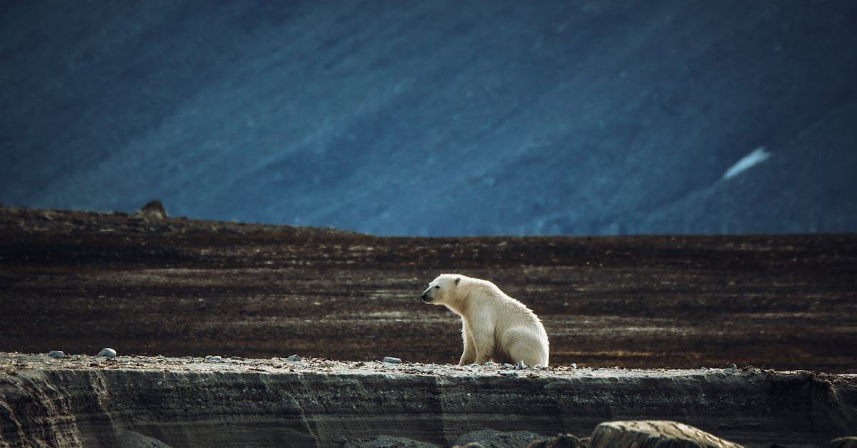 Climat en péril : pourquoi les Européens peinent à s’adapter aux défis du changement climatique