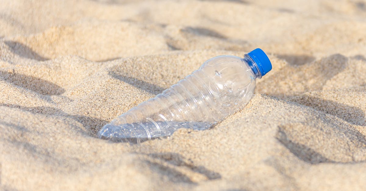 Réchauffement climatique et littoraux : comment l’absence de marées perturbe les prévisions environnementales