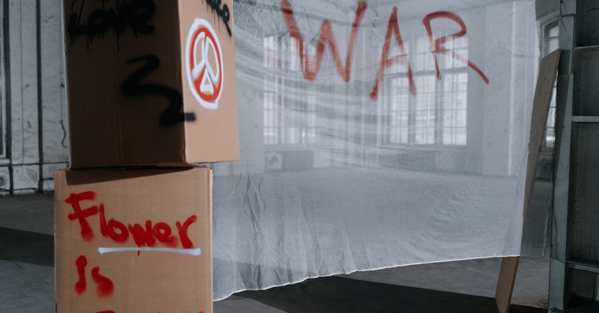 La réflexion de Michel Winock : entre les affres de la guerre et l’espoir de la paix