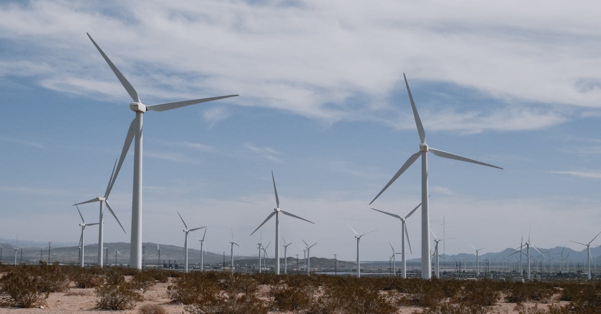 Les innovations écologiques au service de notre planète