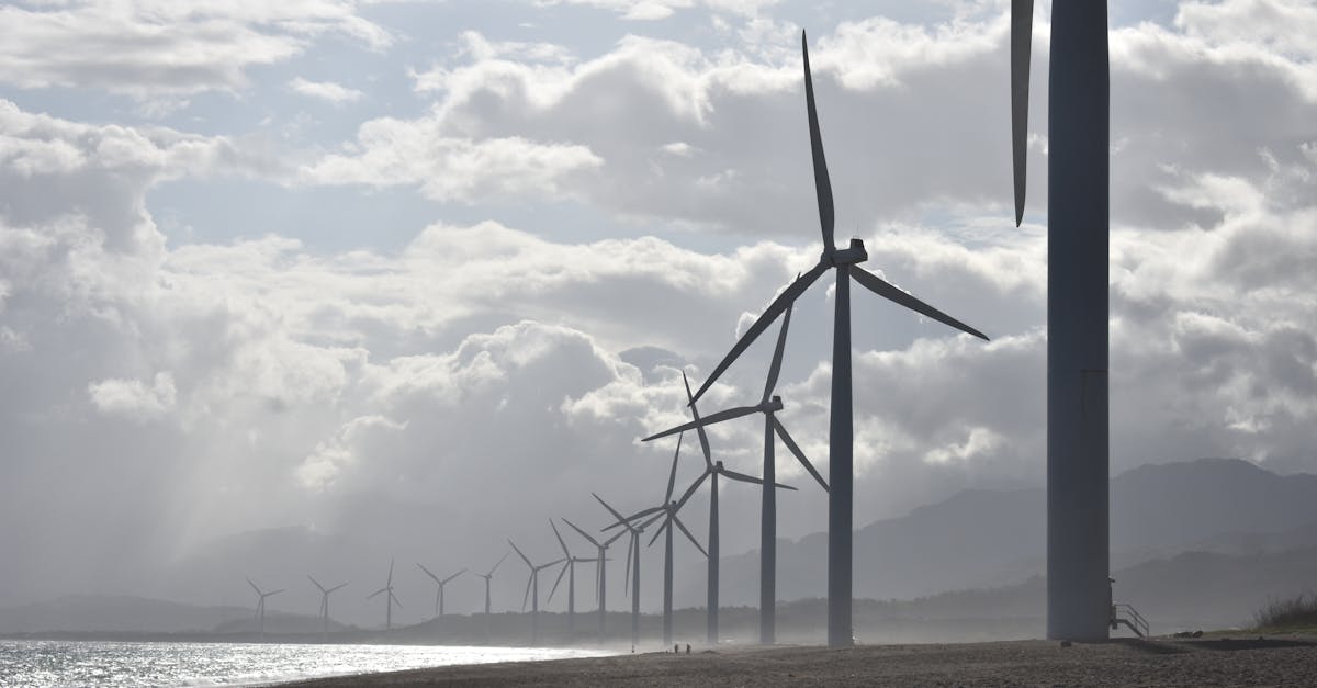 Quelles énergies renouvelables peuvent aider à lutter contre le changement climatique ?