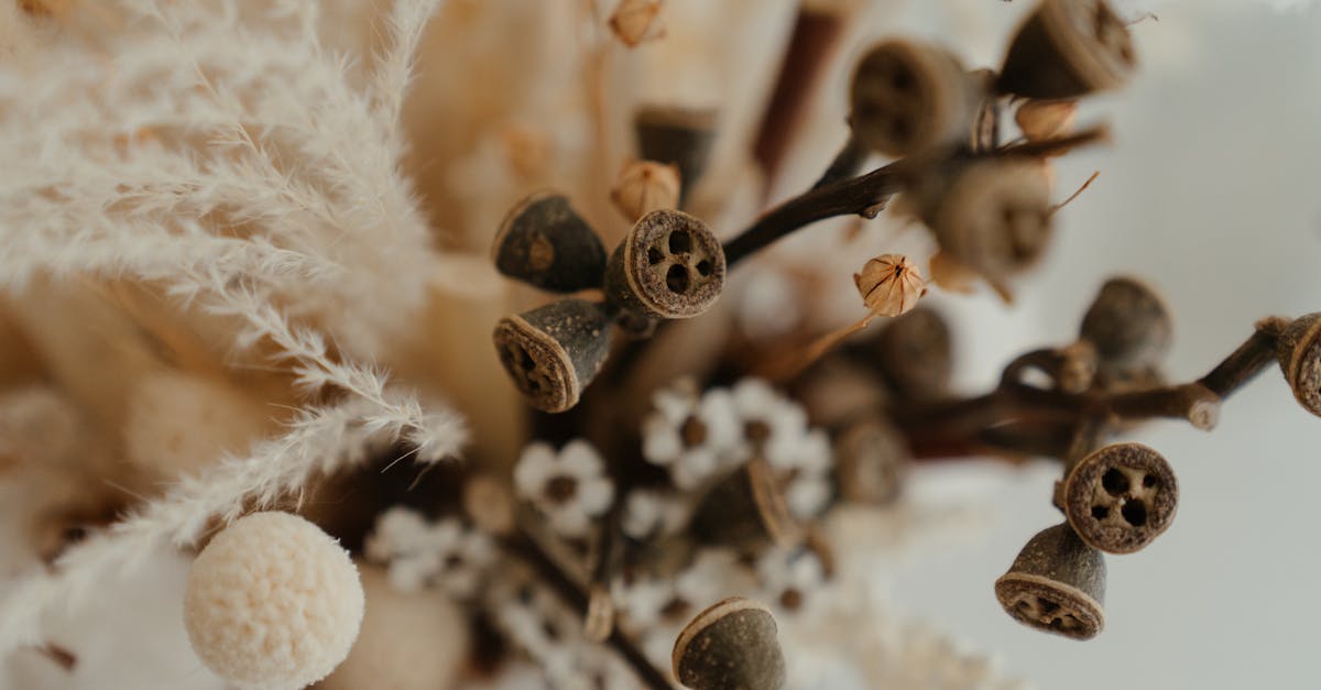 Comment rendre l’industrie textile plus écoresponsable : les pistes de l’ONU France