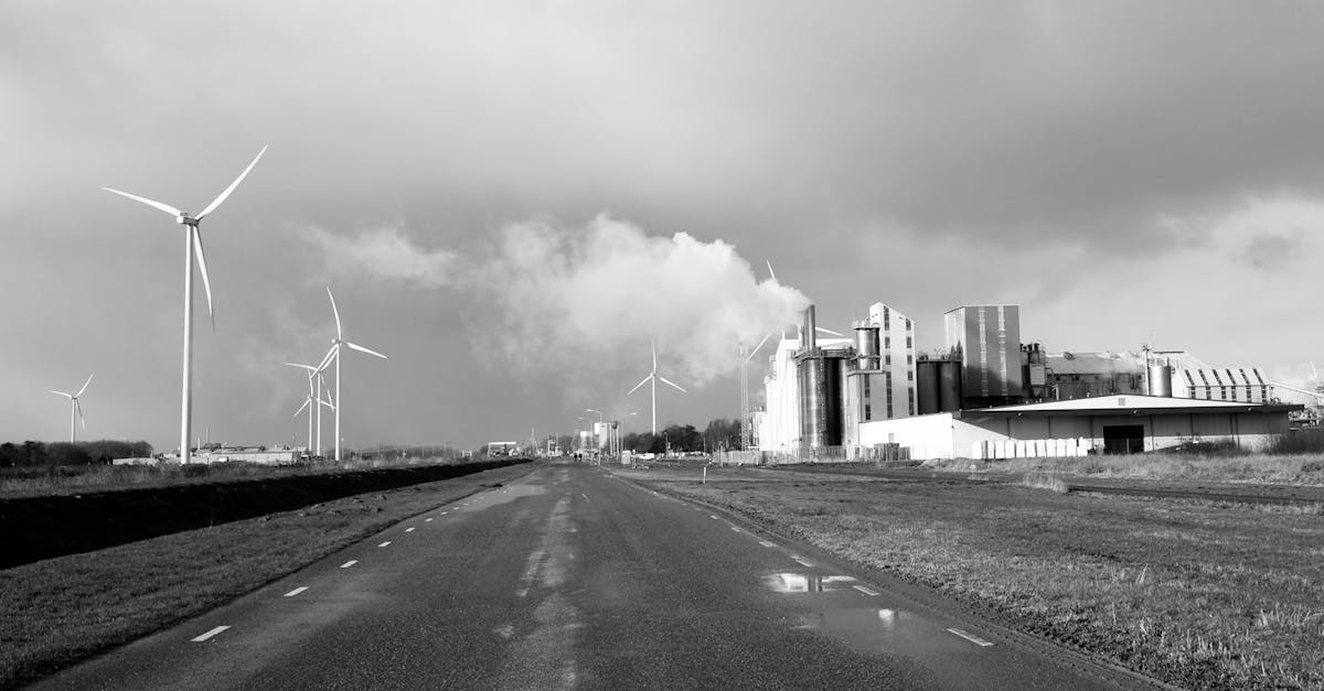 Parthenay-Gâtine lance son tout premier Plan Climat Air Énergie Territorial (PCAET) pour une transition écologique ambitieuse