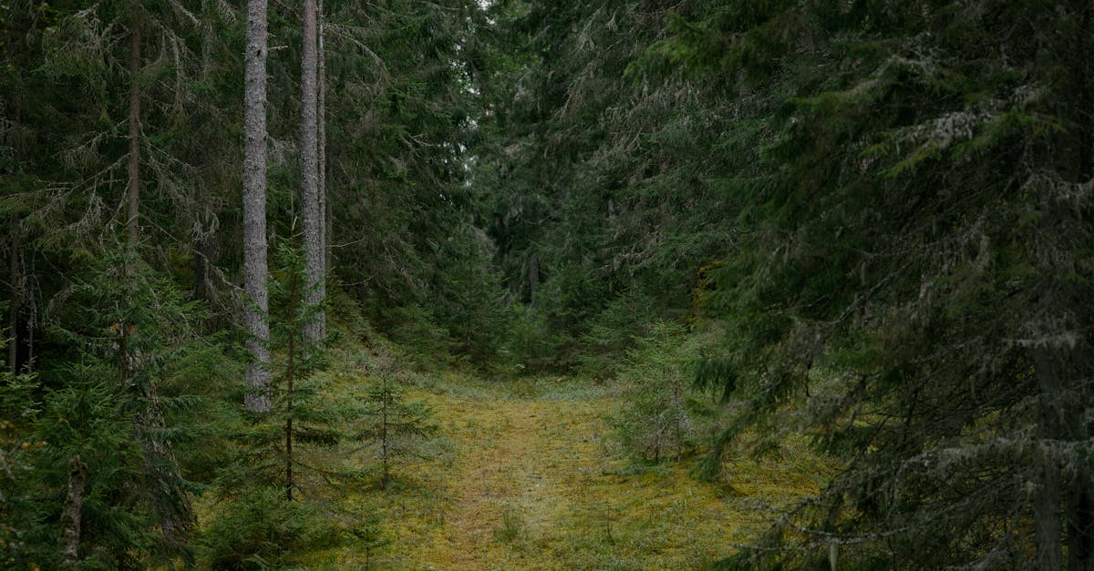 Contribuer à la préservation de l’environnement à l’échelle mondiale