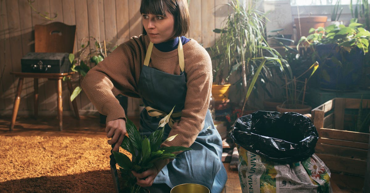 Albertville : la 4e édition du Salon Maison & Jardin fait son grand retour à la Halle Olympique