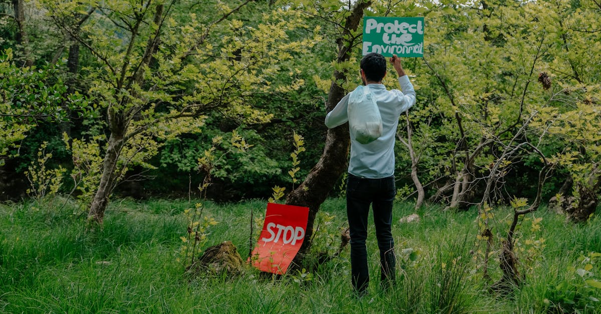 À Cholet, des jeunes en service civique s’engagent activement pour la protection de l’environnement