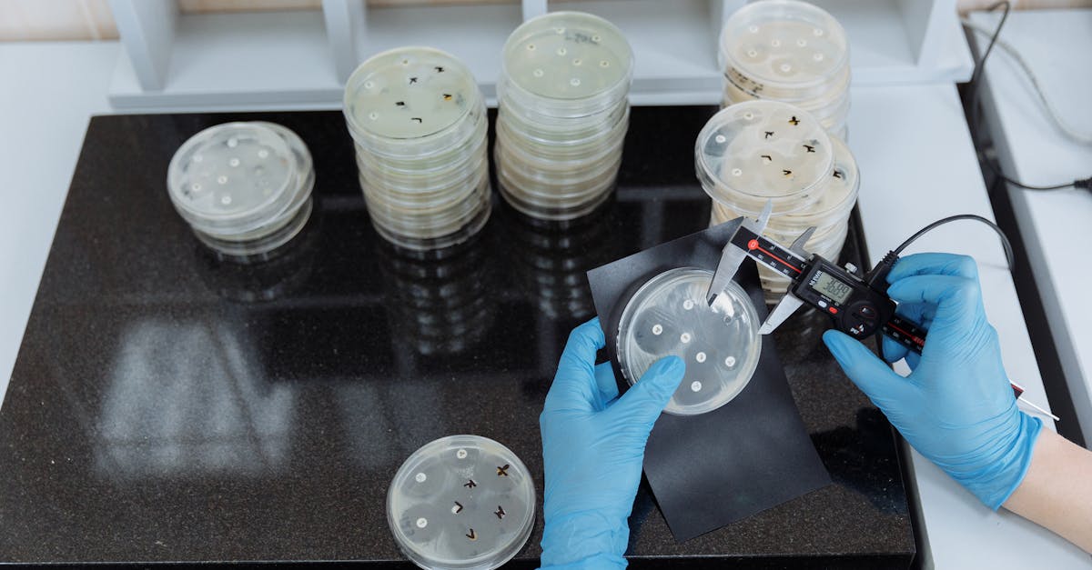 Selon une étude, la sécheresse mondiale favorise la montée de la résistance aux antibiotiques